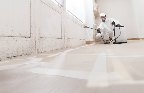 24/7 Emergency Mold Testing experts in Morrisdale, PA